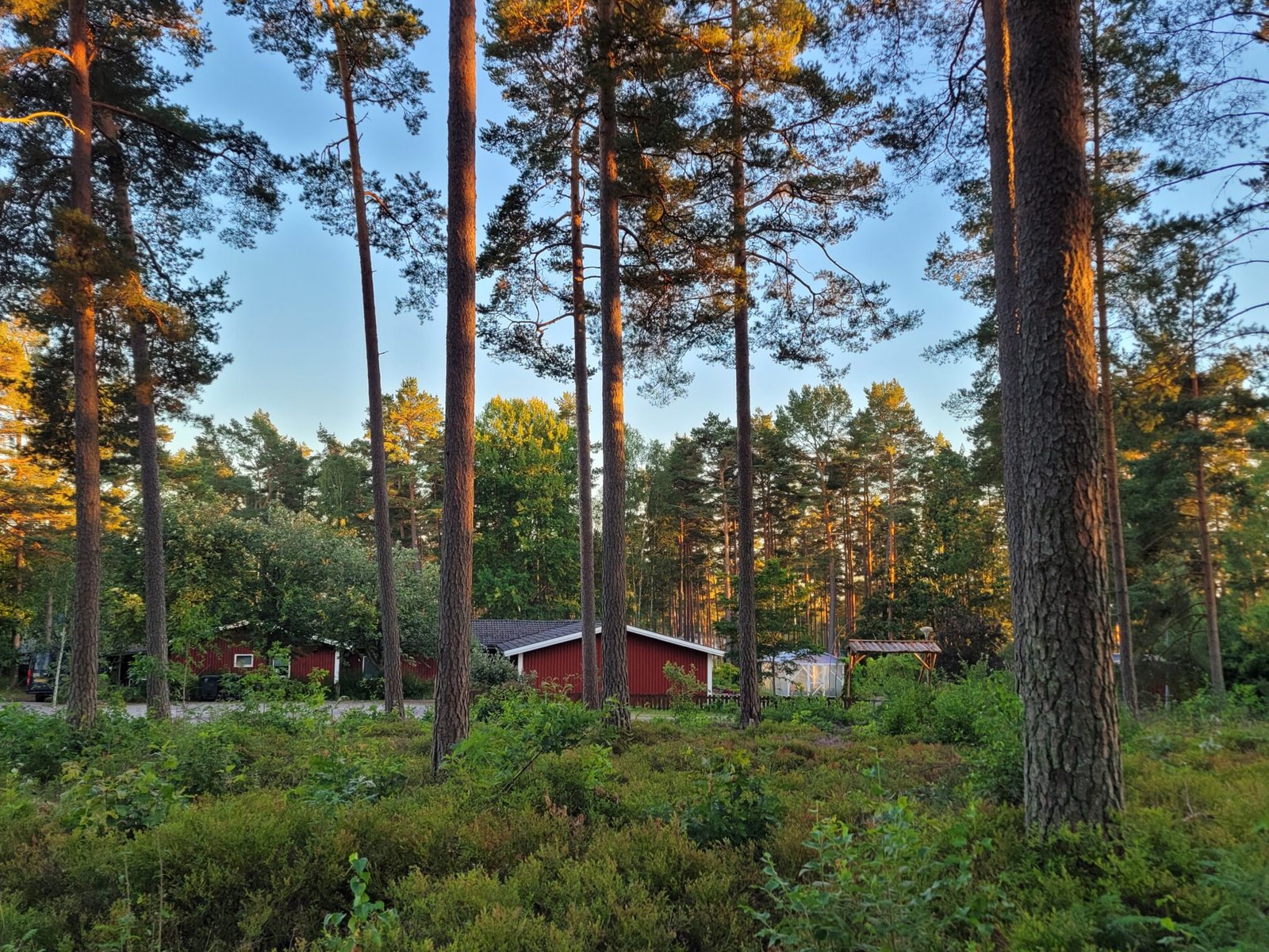 Onze locatie Onze locatie